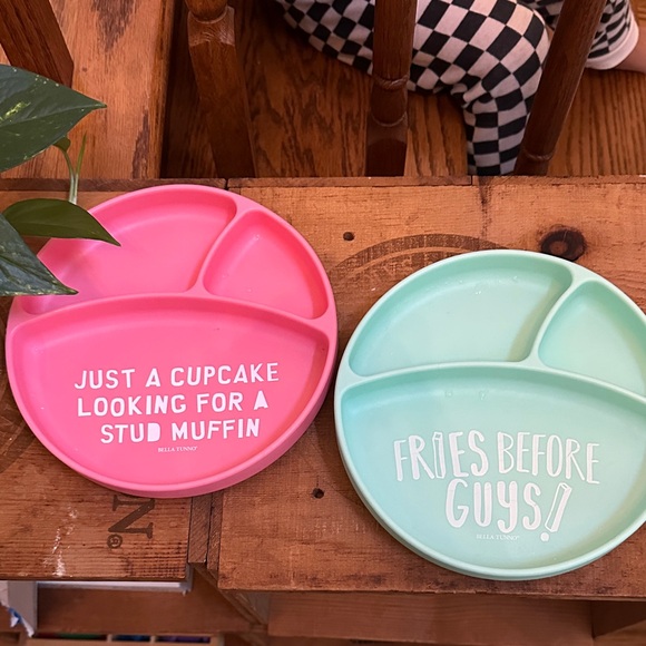 Bella Tunno Pink and Mint Divided Plates - Picture 1 of 4